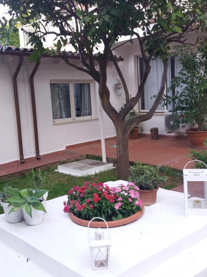 Casa Agrumeto - Locazione Turistica Mondello Zewnętrze zdjęcie
