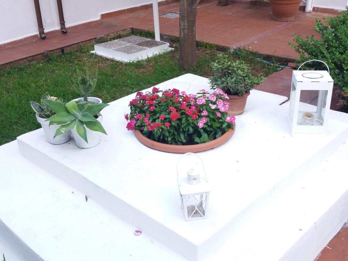 Casa Agrumeto - Locazione Turistica Mondello Zewnętrze zdjęcie