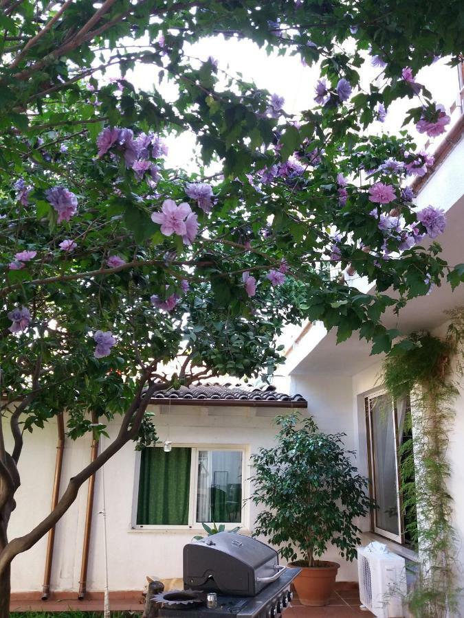 Casa Agrumeto - Locazione Turistica Mondello Zewnętrze zdjęcie